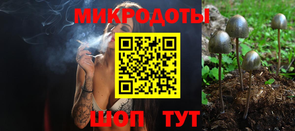 Галлюциногенные грибы Psilocybine cubensis  Вход с VPN  Еманжелинск 