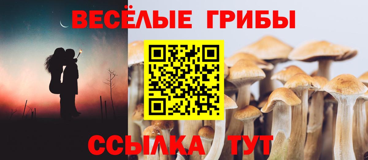 Псилоцибиновые грибы GOLDEN TEACHER Еманжелинск